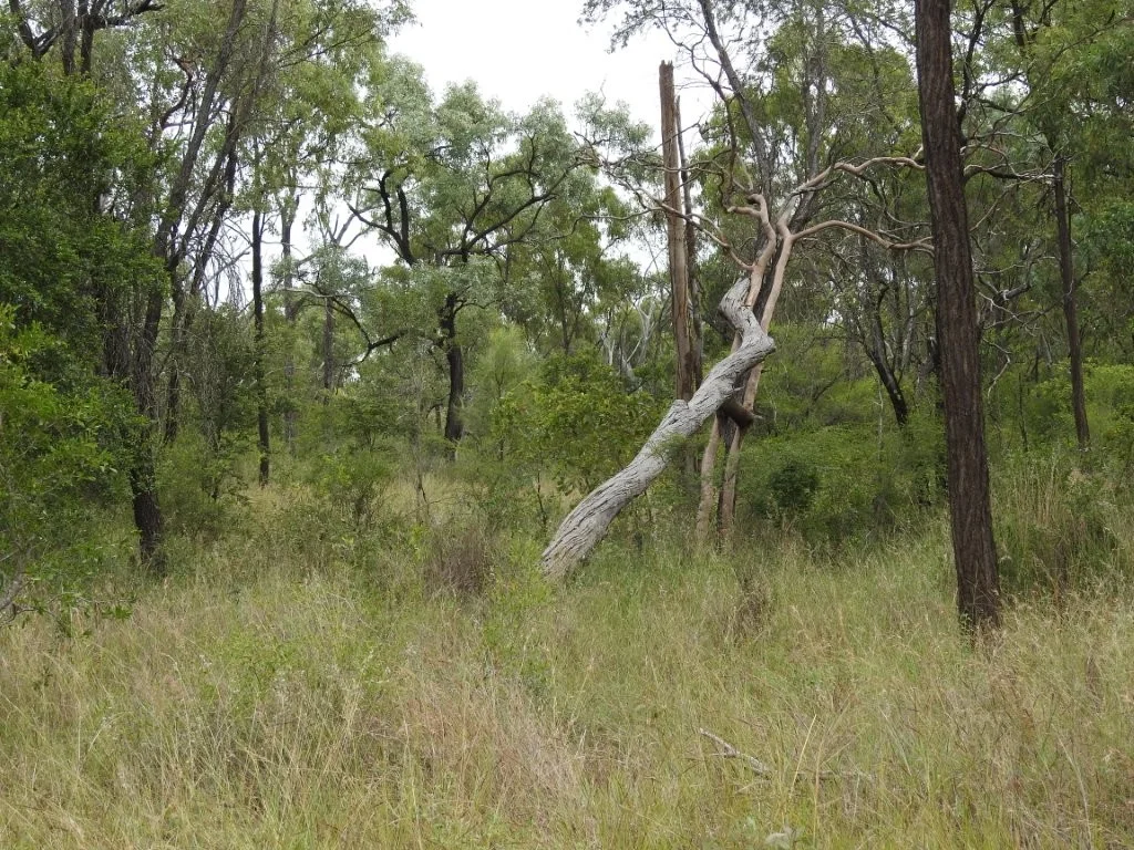 Additional image 29 of Cape River/22386 Flinders Highway, Pentland QLD 4816