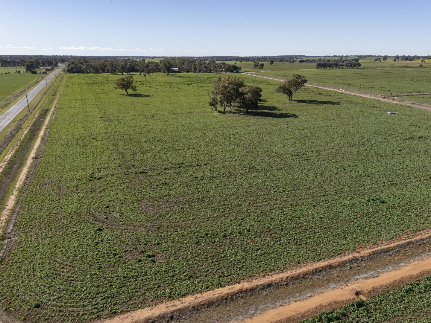 Additional image 33 of 2244 Berrigan Road, Berrigan NSW 2712