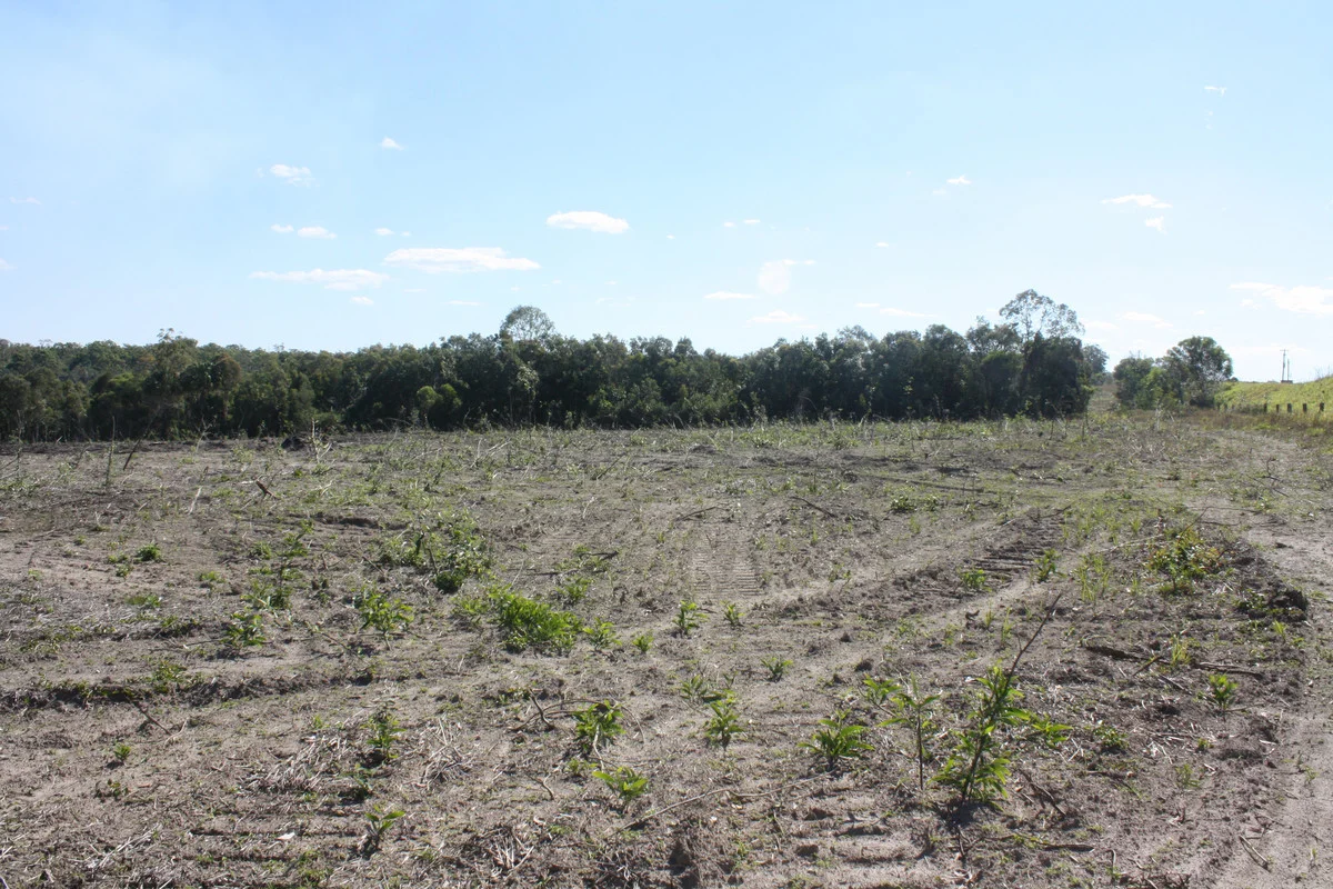 Additional image 11 of 13 Barnards Road, Moorland QLD 4670