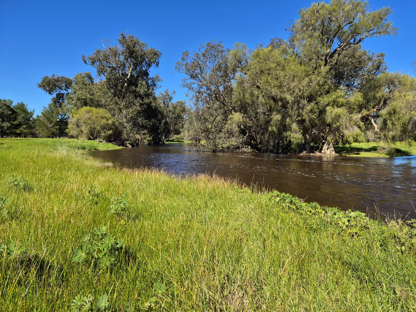 Additional image 11 of 190 Flourmill Cove, Cowalla WA 6503