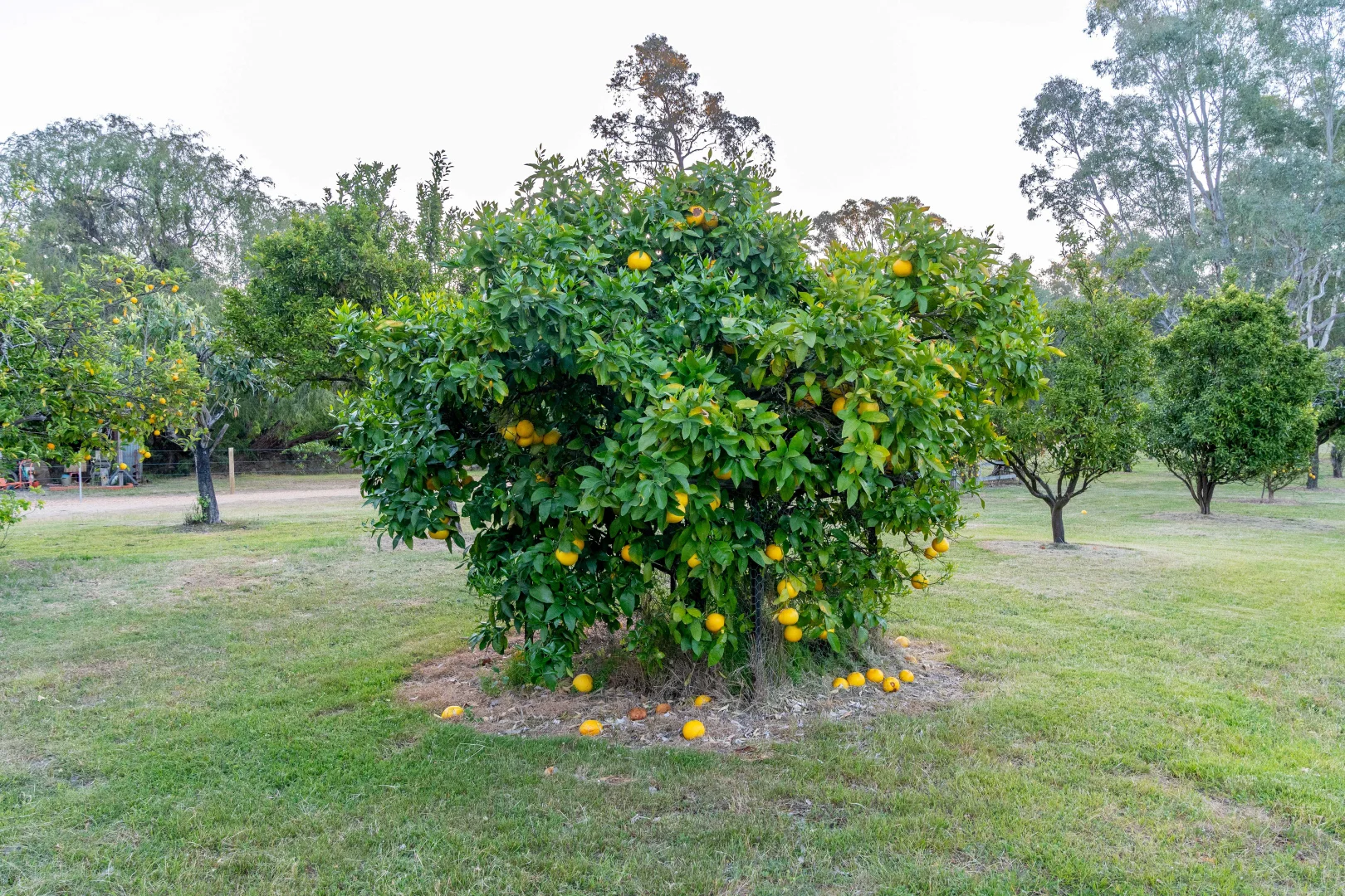 Additional image 14 of LOT 2/121 WATTLEVALE ROAD, Bailieston VIC 3608