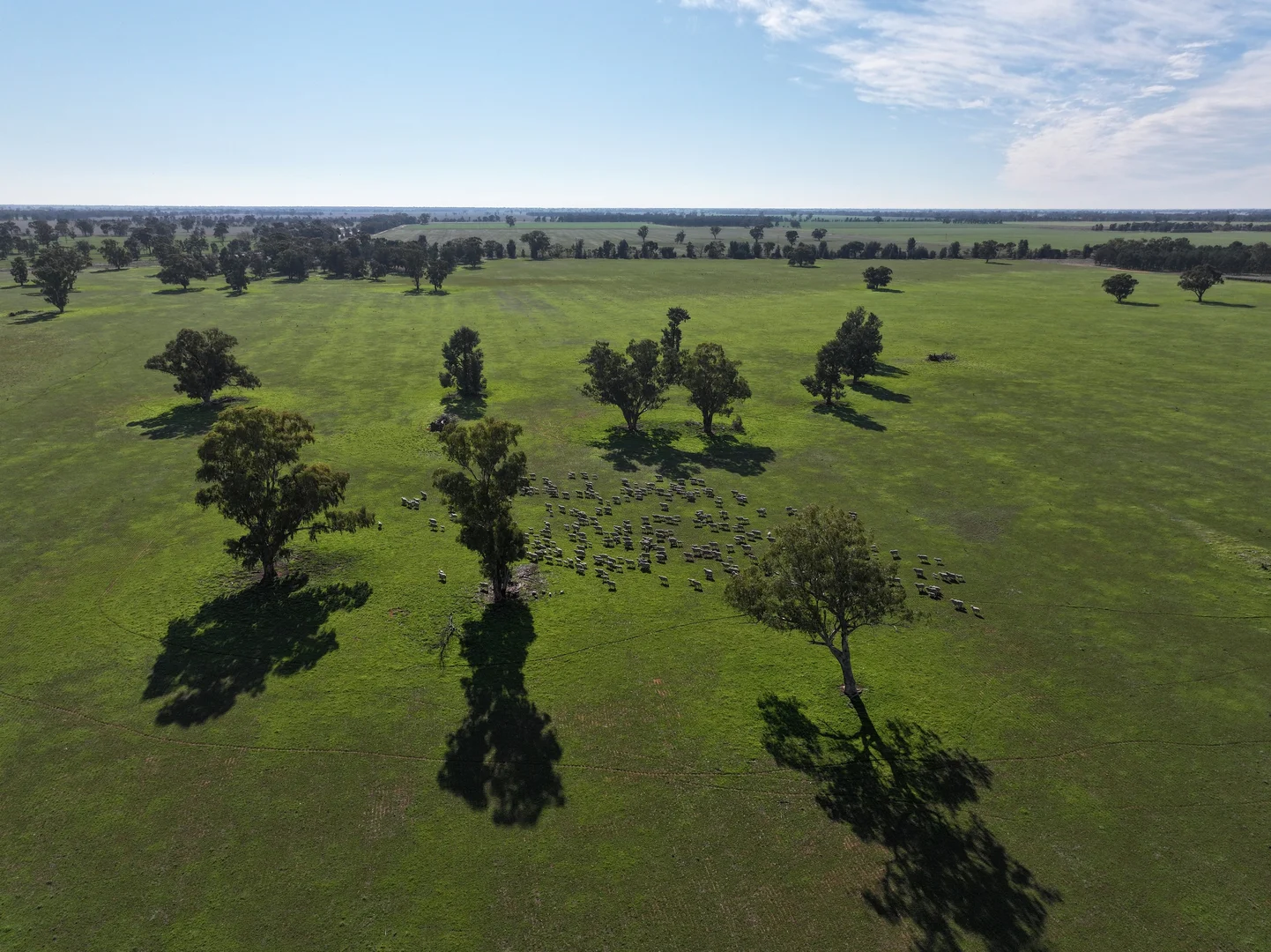 Additional image 6 of Berrigan Oaklands Road, Berrigan NSW 2712