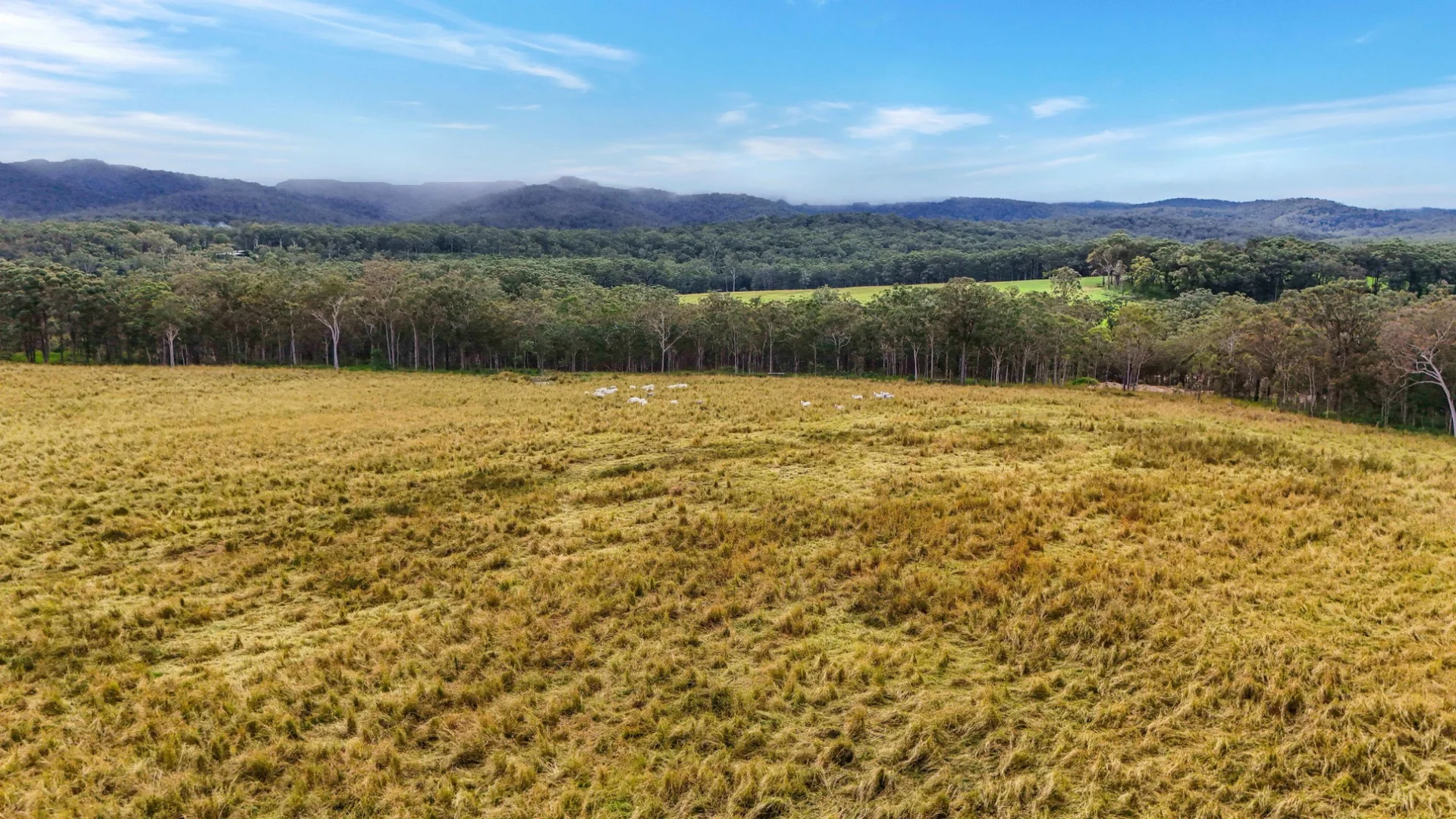 Additional image 52 of Lot 83 Chester Road, Wondecla QLD 4887