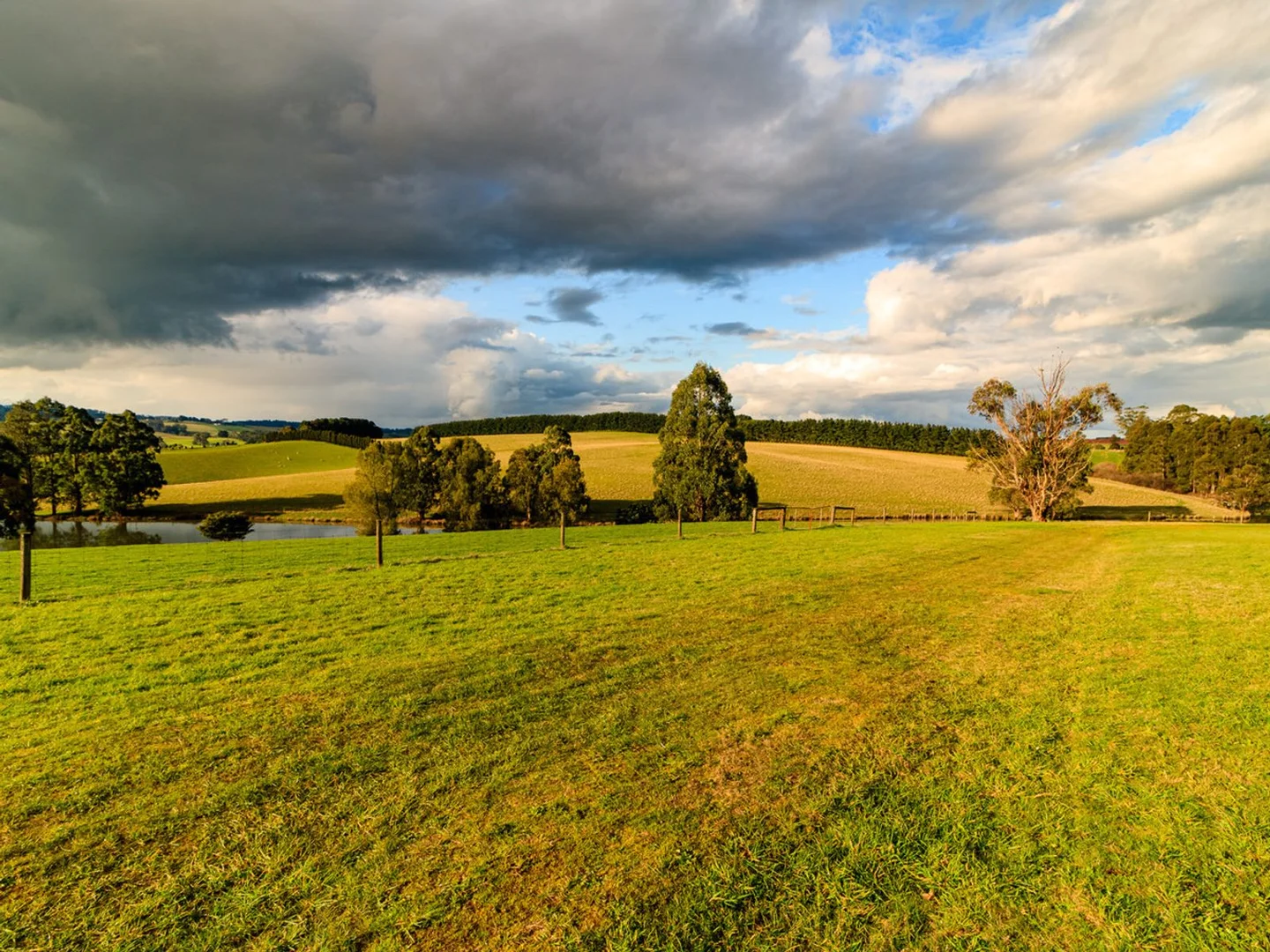 Additional image 5 of 14 Graham Street, Thorpdale VIC 3835