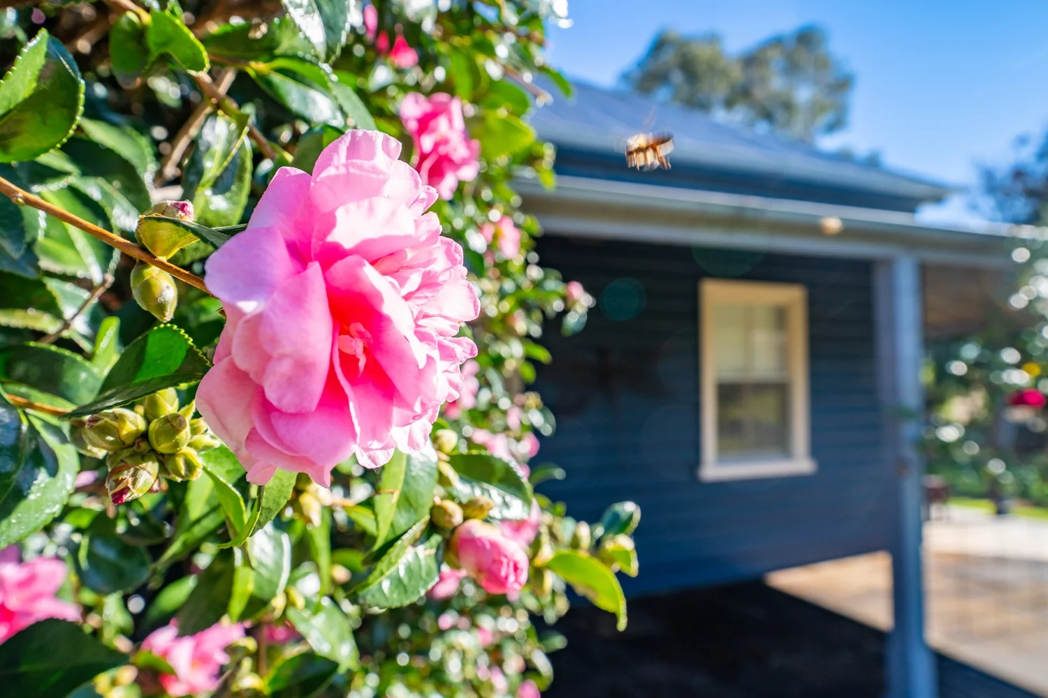 Additional image 23 of 12 Terminus Street, Lyndhurst NSW 2797