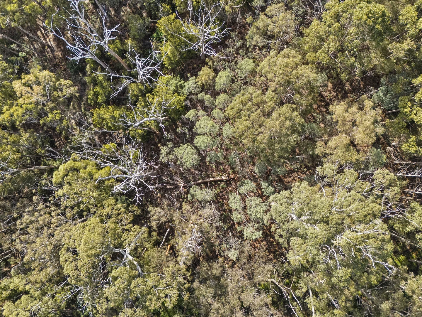 Additional image 22 of Lot 4 Tip Road, Nubeena TAS 7184