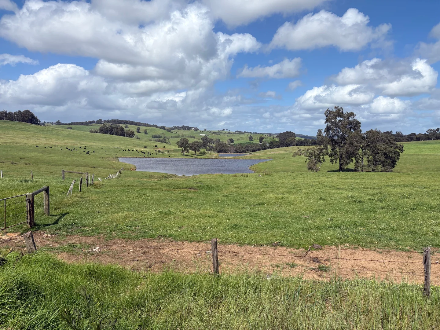 Additional image 6 of Lot 72 Beelerup Road, Beelerup WA 6239