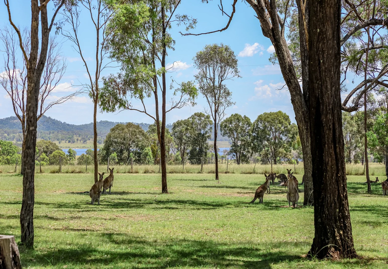 Additional image 8 of 212 Woodhill Road, Leslie Dam QLD 4370