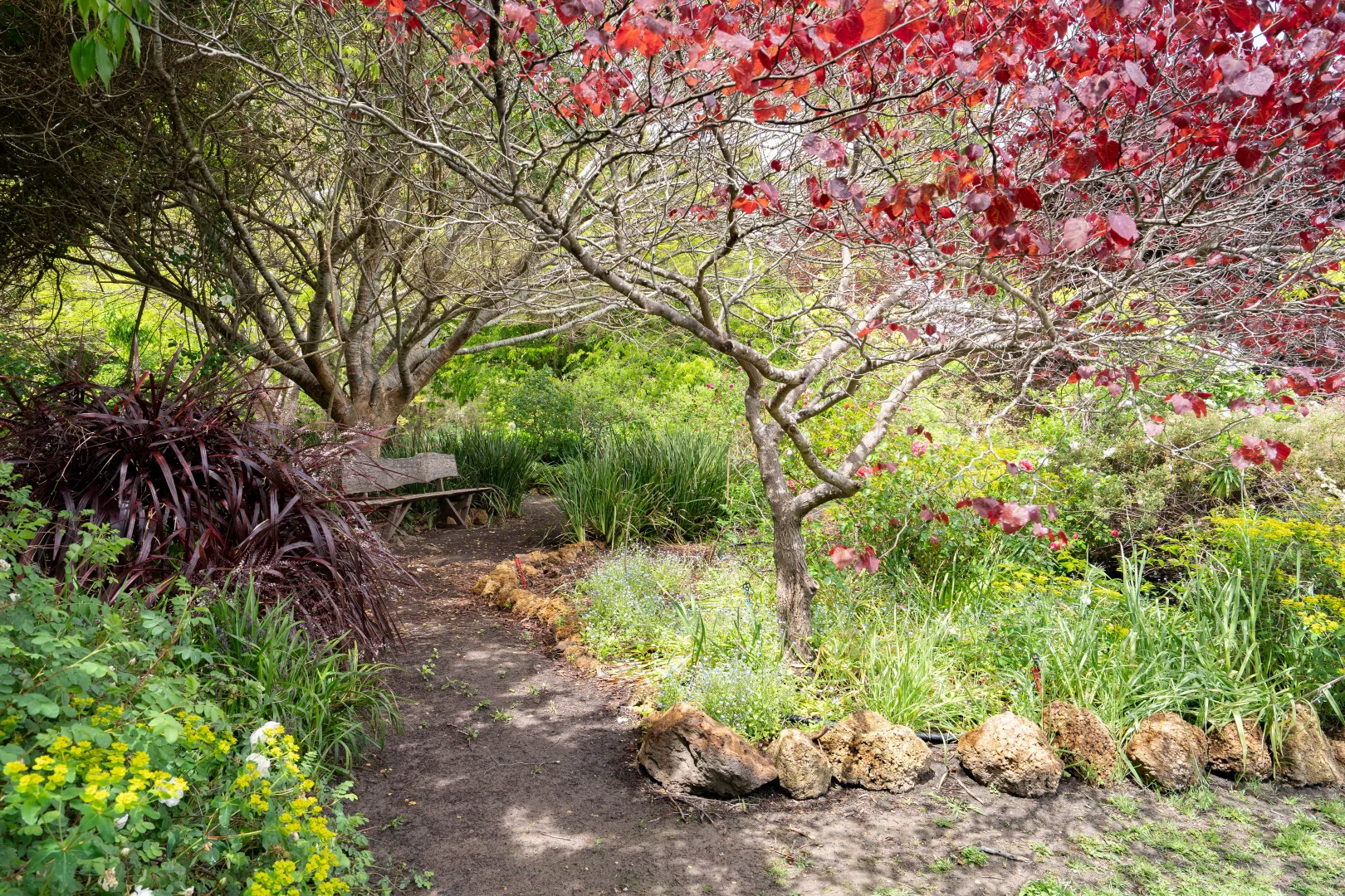 Additional image 31 of 250 Tinks Road, Quinninup WA 6258