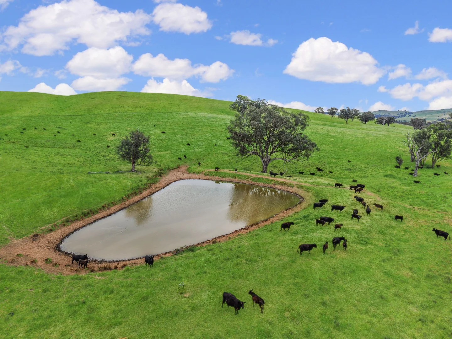 Additional image 7 of 'horse Gully' Old Waugoola Road, Woodstock NSW 2793