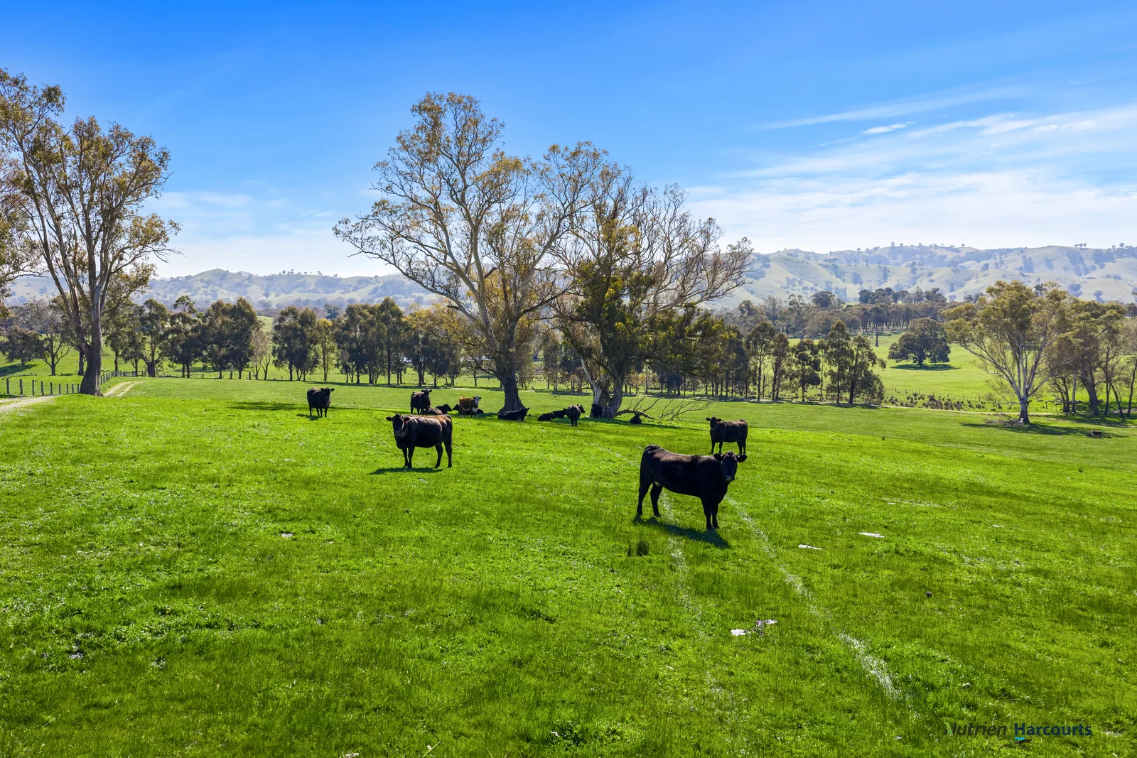 Additional image 4 of 2222 Goulburn Valley Highway, Alexandra VIC 3714