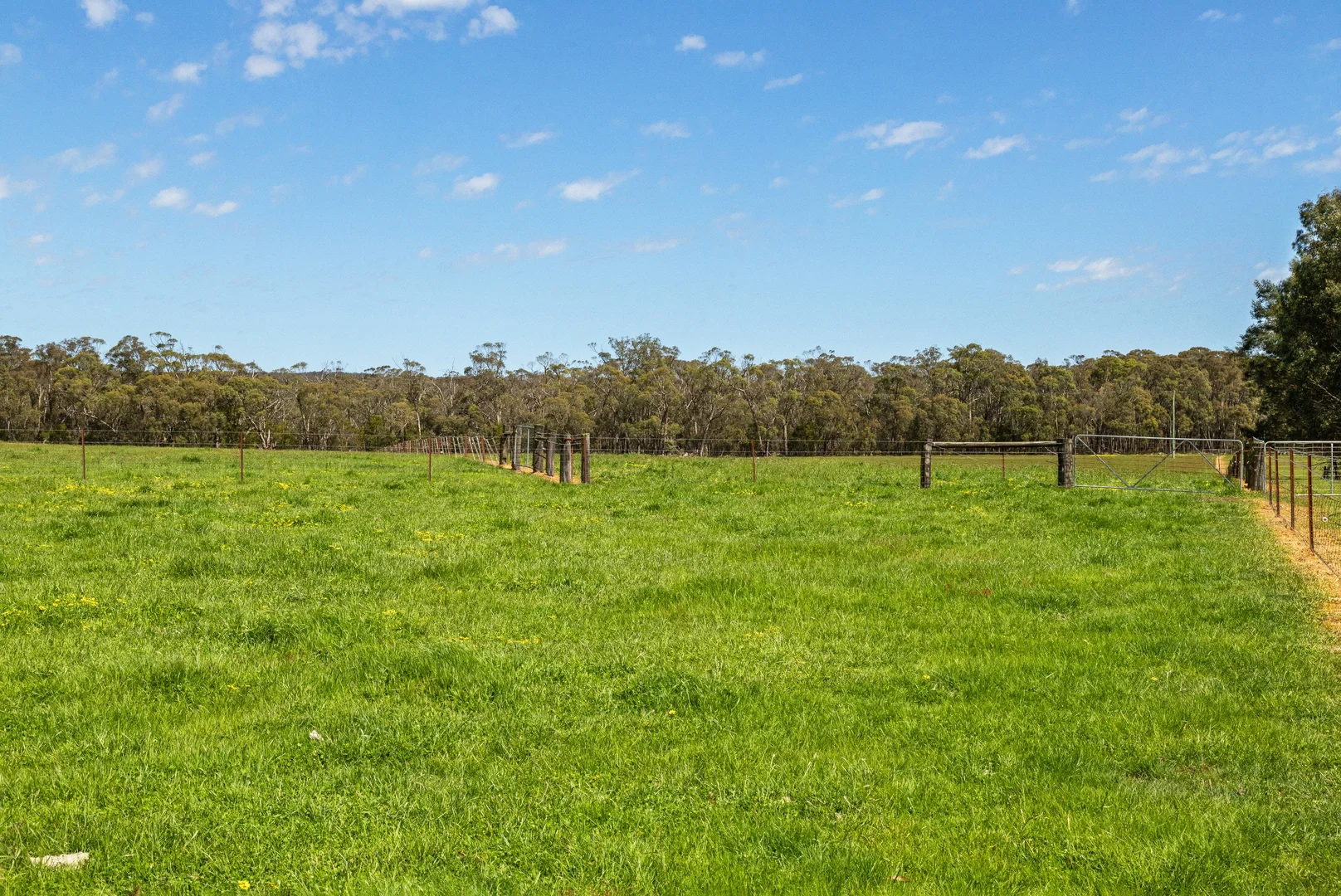 Additional image 6 of Napoleons VIC 3352