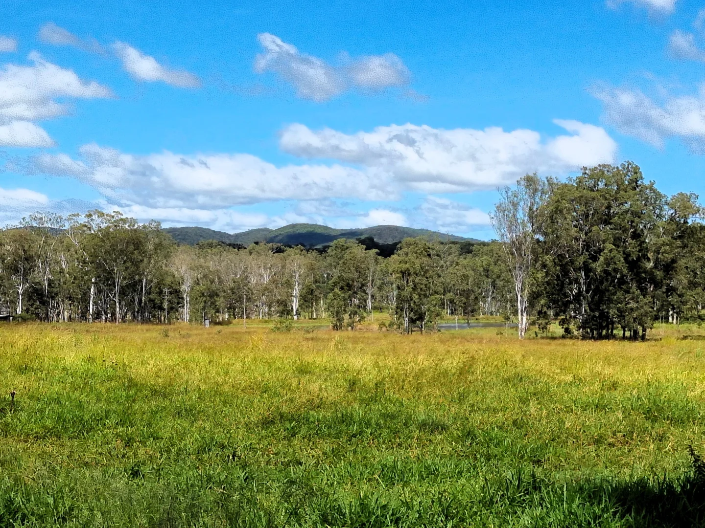 Additional image 19 of Wondecla QLD 4887