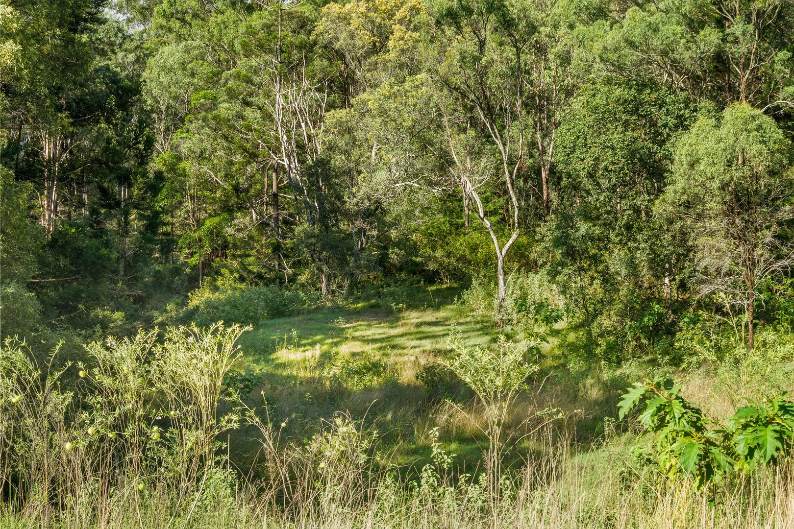 Additional image 28 of 169 Dunns Road, Wolffdene QLD 4207