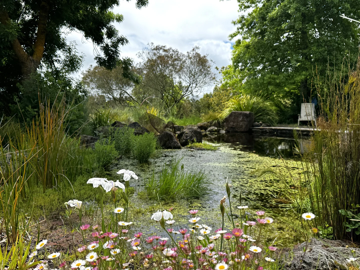 Additional image 17 of 1409 Birregurra Deans Marsh Road, Deans Marsh VIC 3235