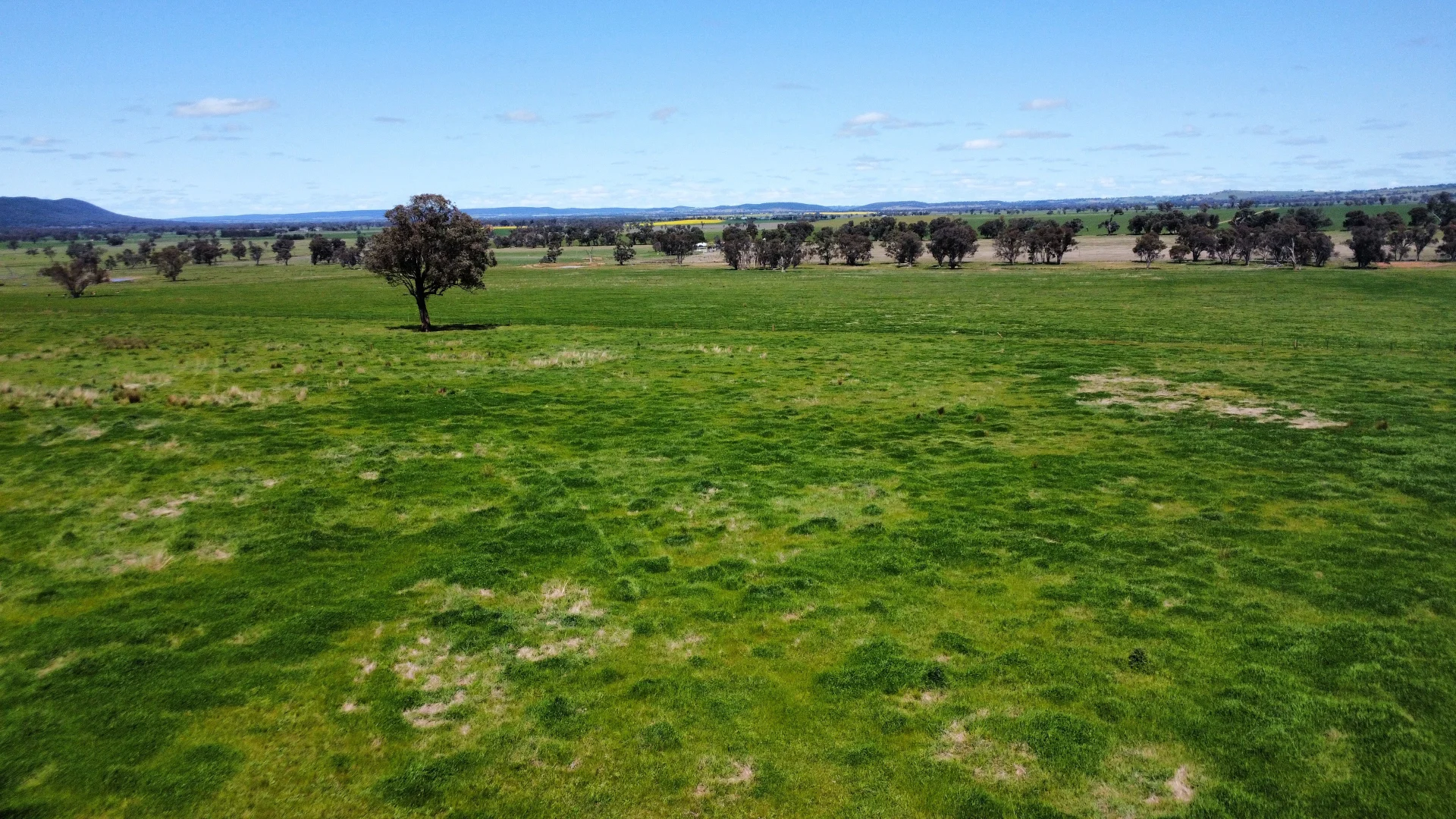 Additional image 28 of Young NSW 2594