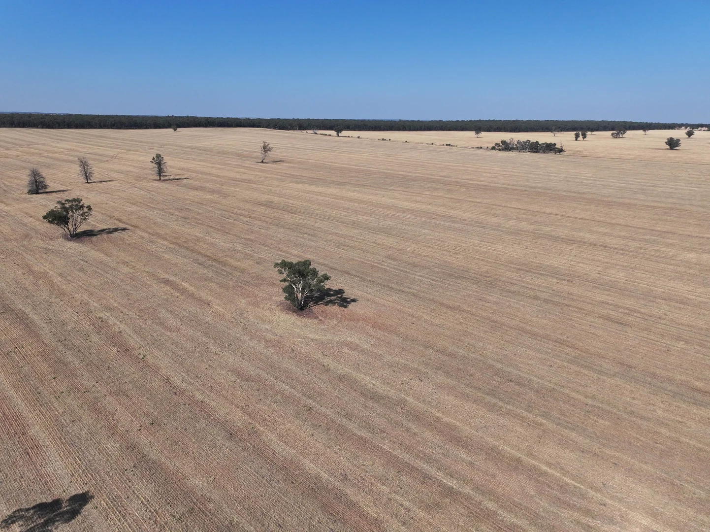 Additional image 14 of 'Wattlevale' 875 Schmidts Lane, Gidginbung NSW 2666