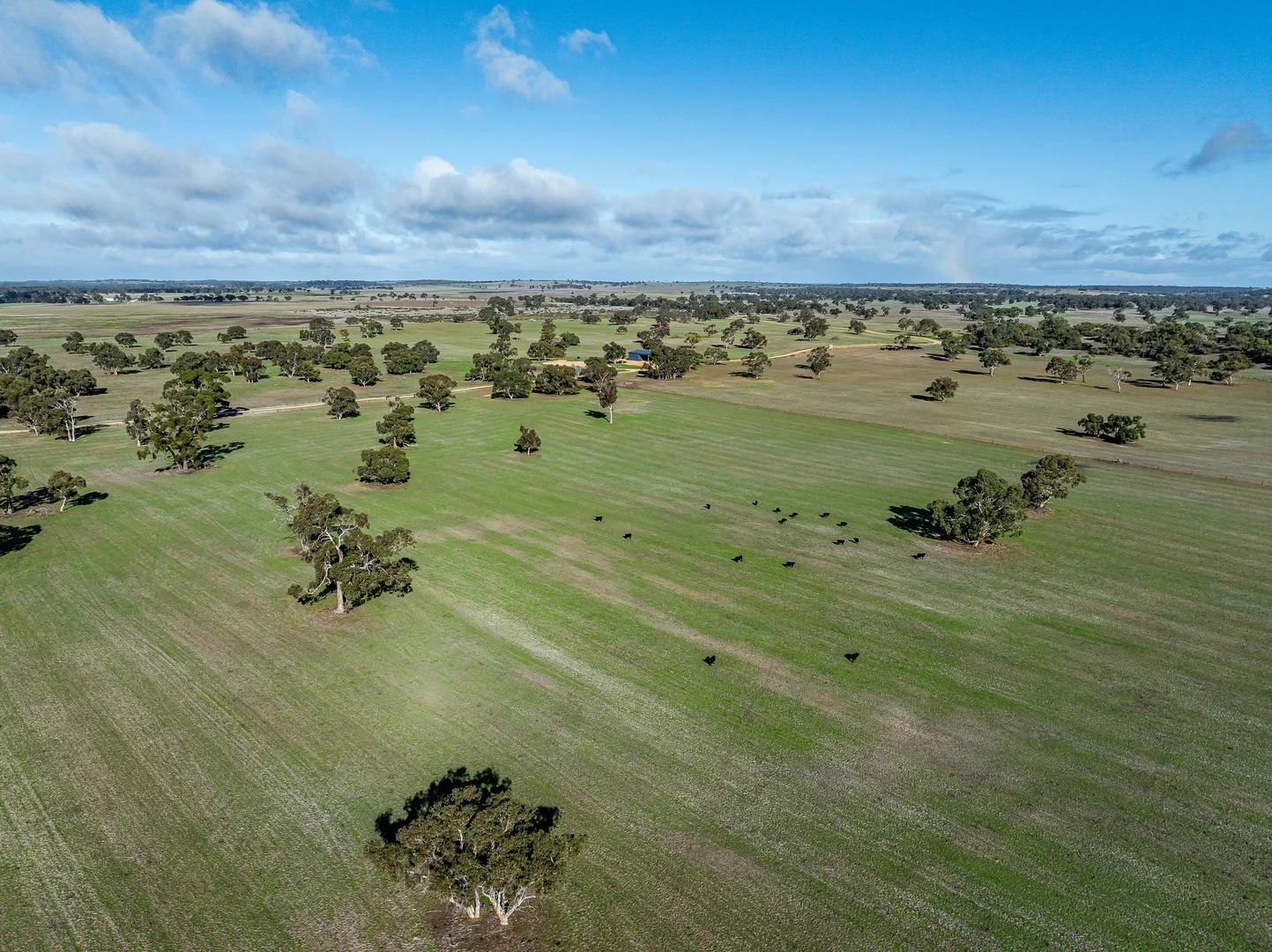 Additional image 17 of 1911 Cadgee Road, Naracoorte SA 5271