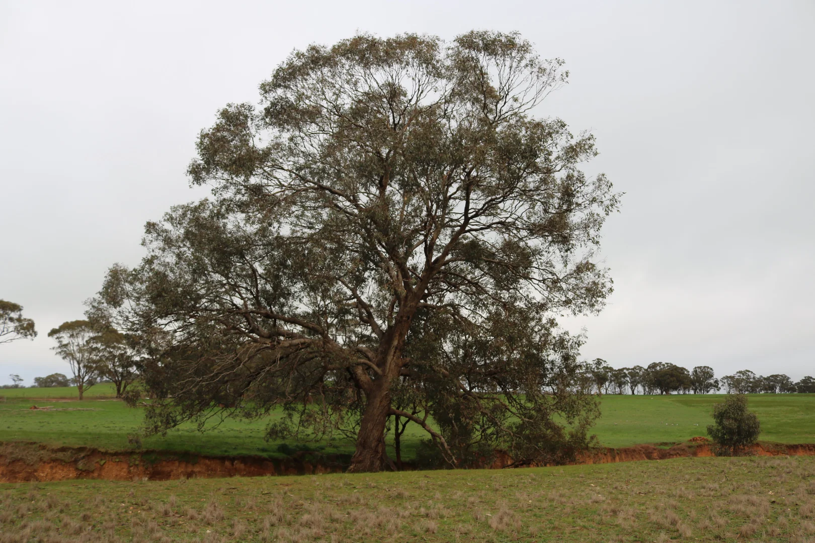 Additional image 5 of Nine Mile-Berrimal Road, Nine Mile VIC 3518
