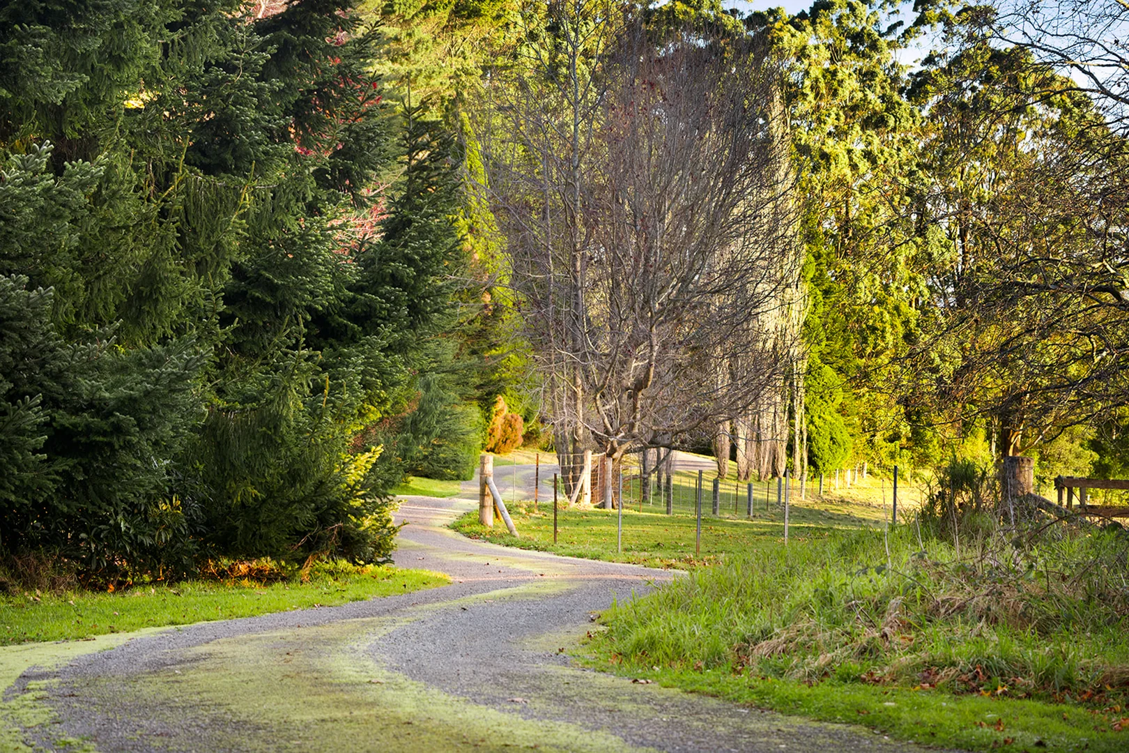 Additional image 8 of 421 Myra Vale Road, Wildes Meadow NSW 2577