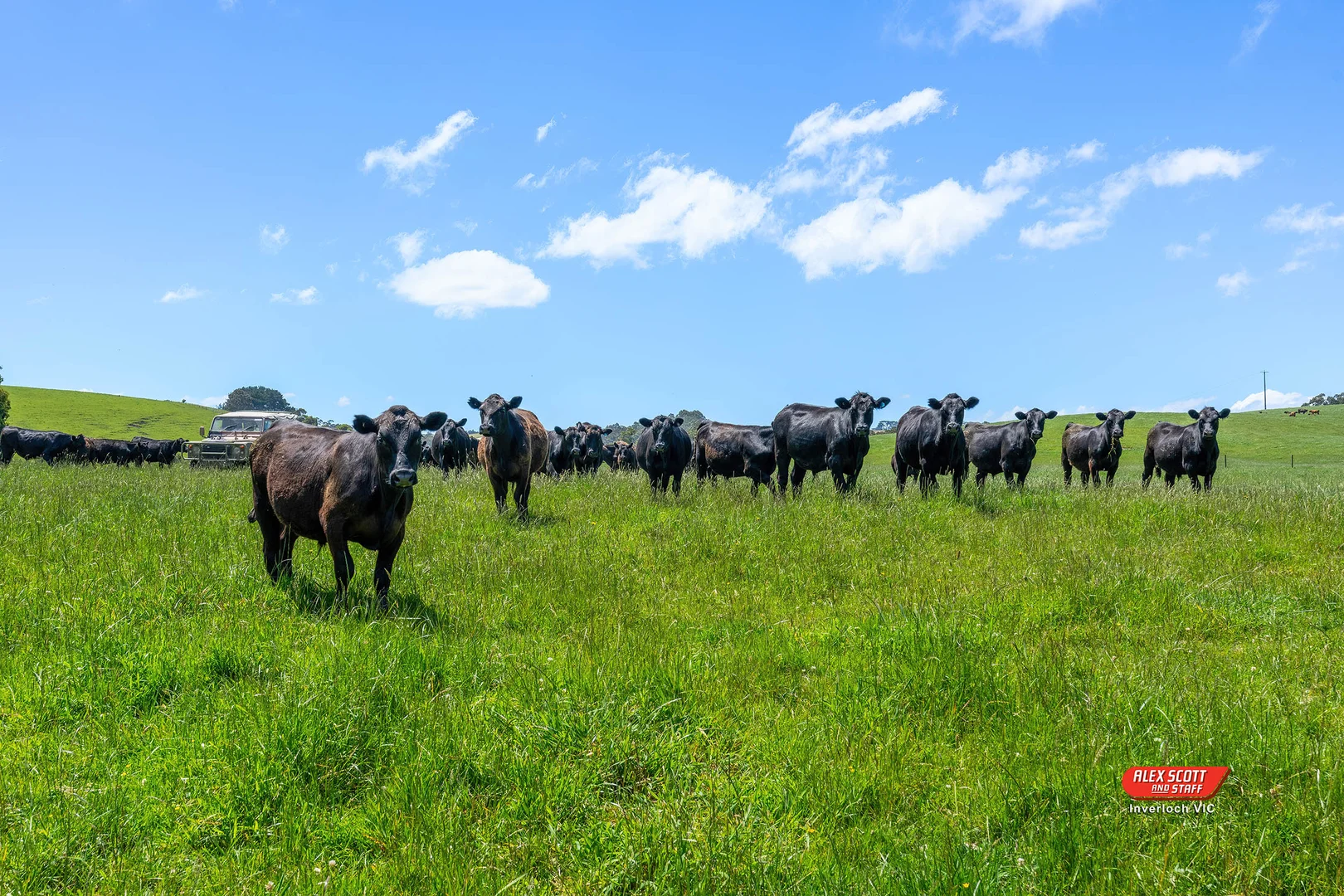 Additional image 15 of Lot 2 Kongwak Road, Glen Alvie VIC 3979