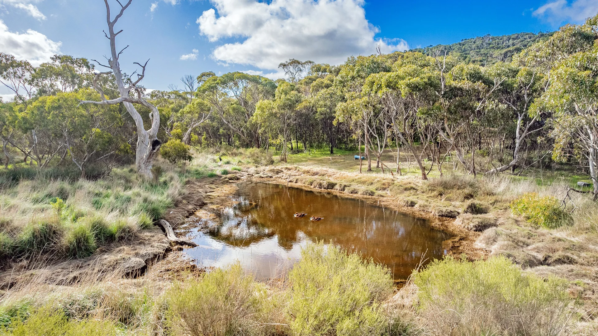 Additional image 7 of 53 Pope Drive, Charlton Gully SA 5607