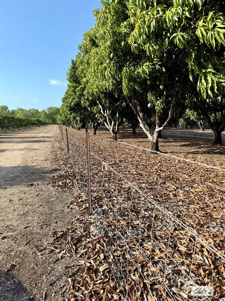 Additional image 17 of 80 & 100 Russ Road, Tumbling Waters NT 0822