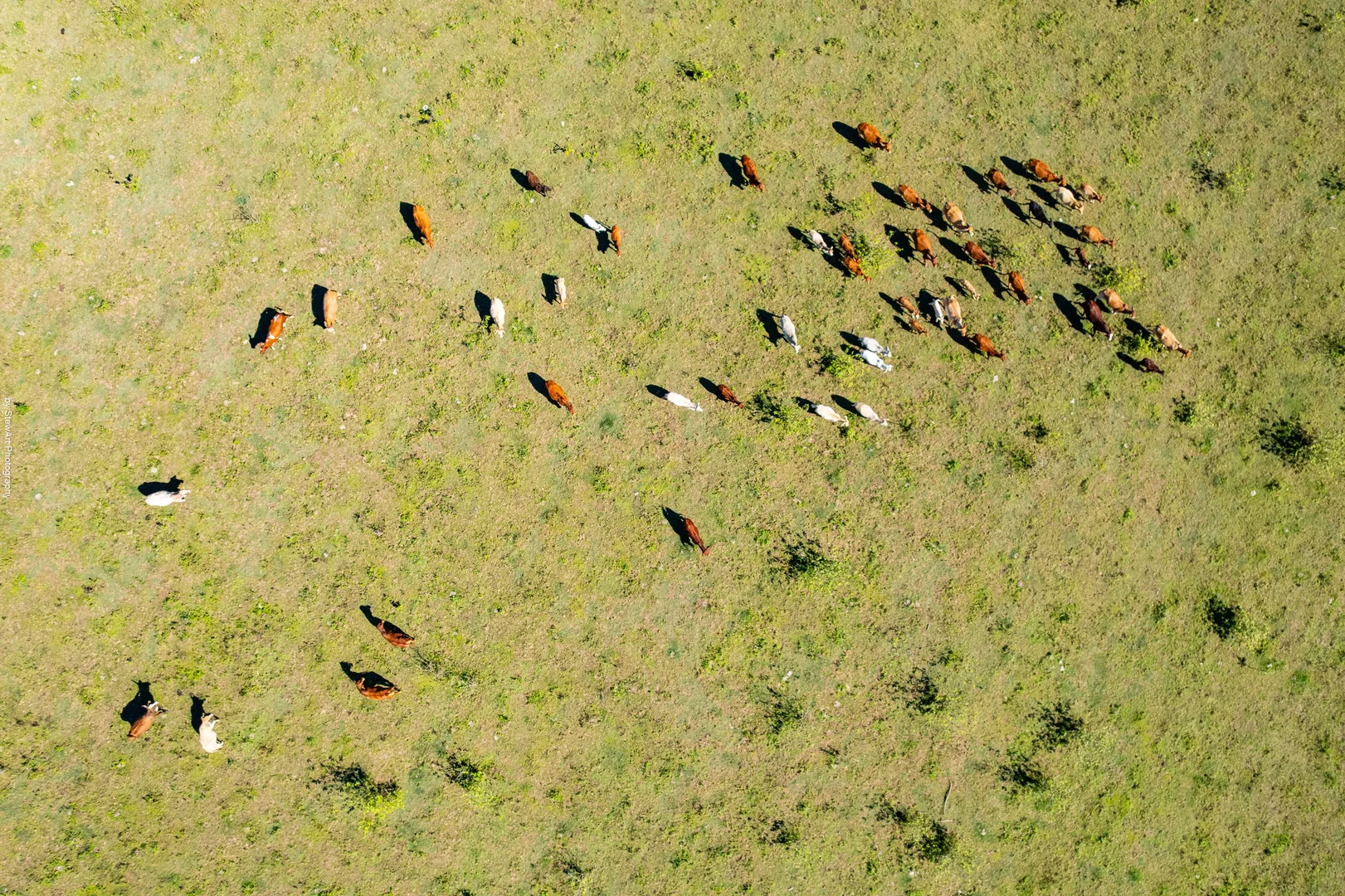 Additional image 26 of 2331 Mungar Road, Tiaro QLD 4650