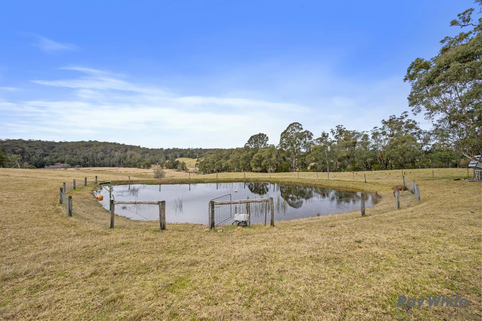 Additional image 24 of 235 Wamban Road, Moruya NSW 2537