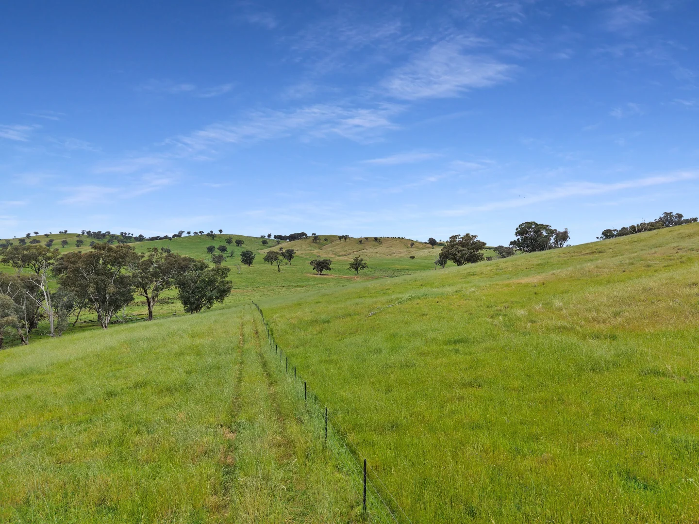 Additional image 20 of 'horse Gully' Old Waugoola Road, Woodstock NSW 2793