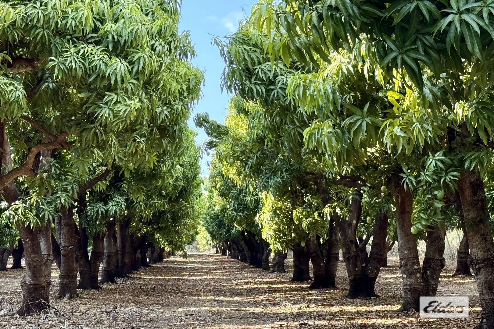 Additional image 4 of 80 & 100 Russ Road, Tumbling Waters NT 0822