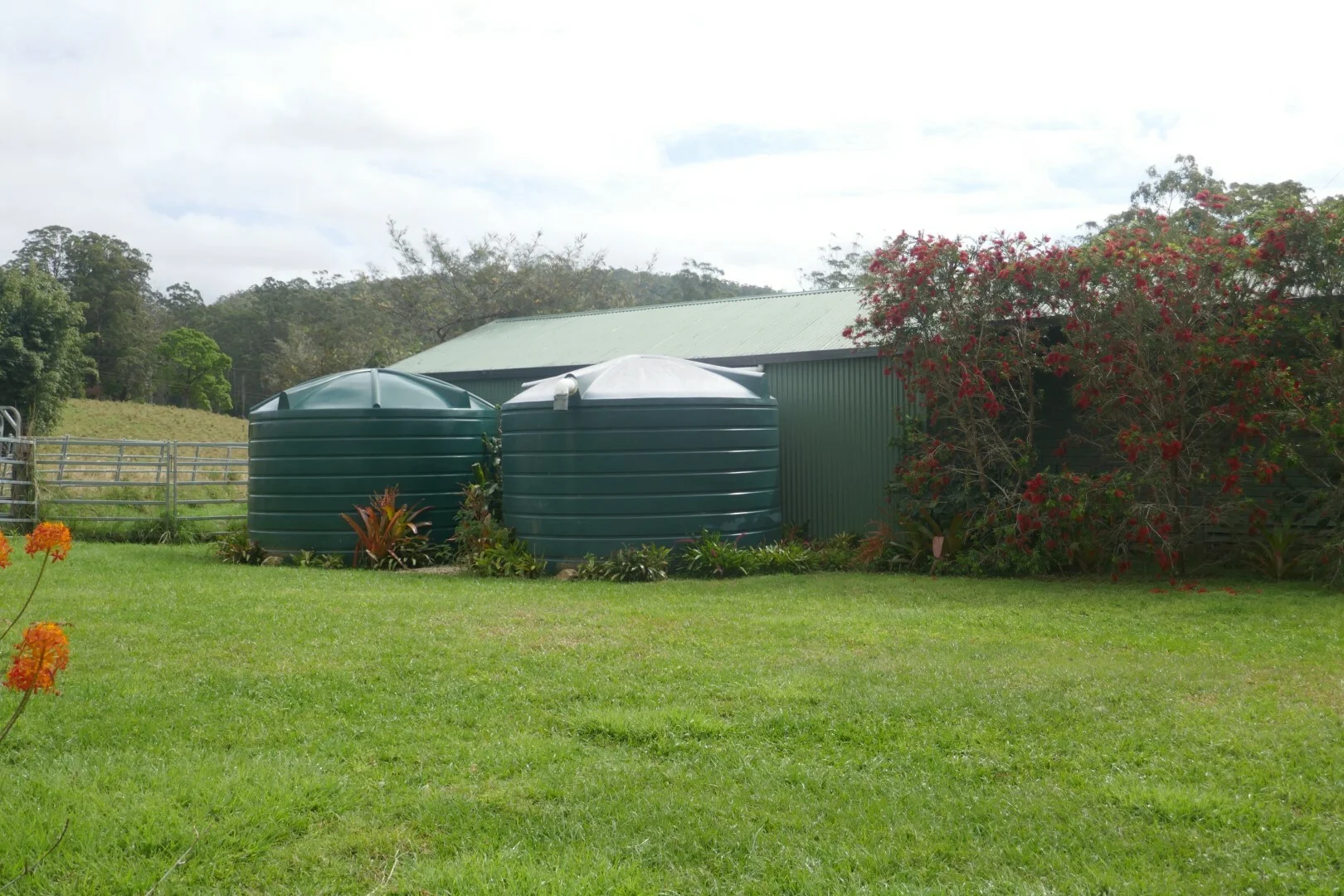 Additional image 18 of 66 Old Tweed Road, Wadeville NSW 2474