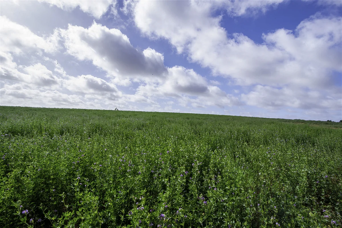 Additional image 13 of 1061 McEwen Road, Kyabram VIC 3620