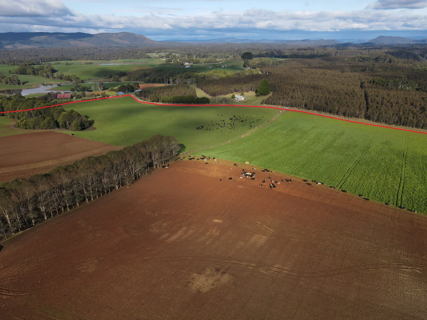 Additional image 13 of 1719 Mawbanna Road, Mawbanna TAS 7321