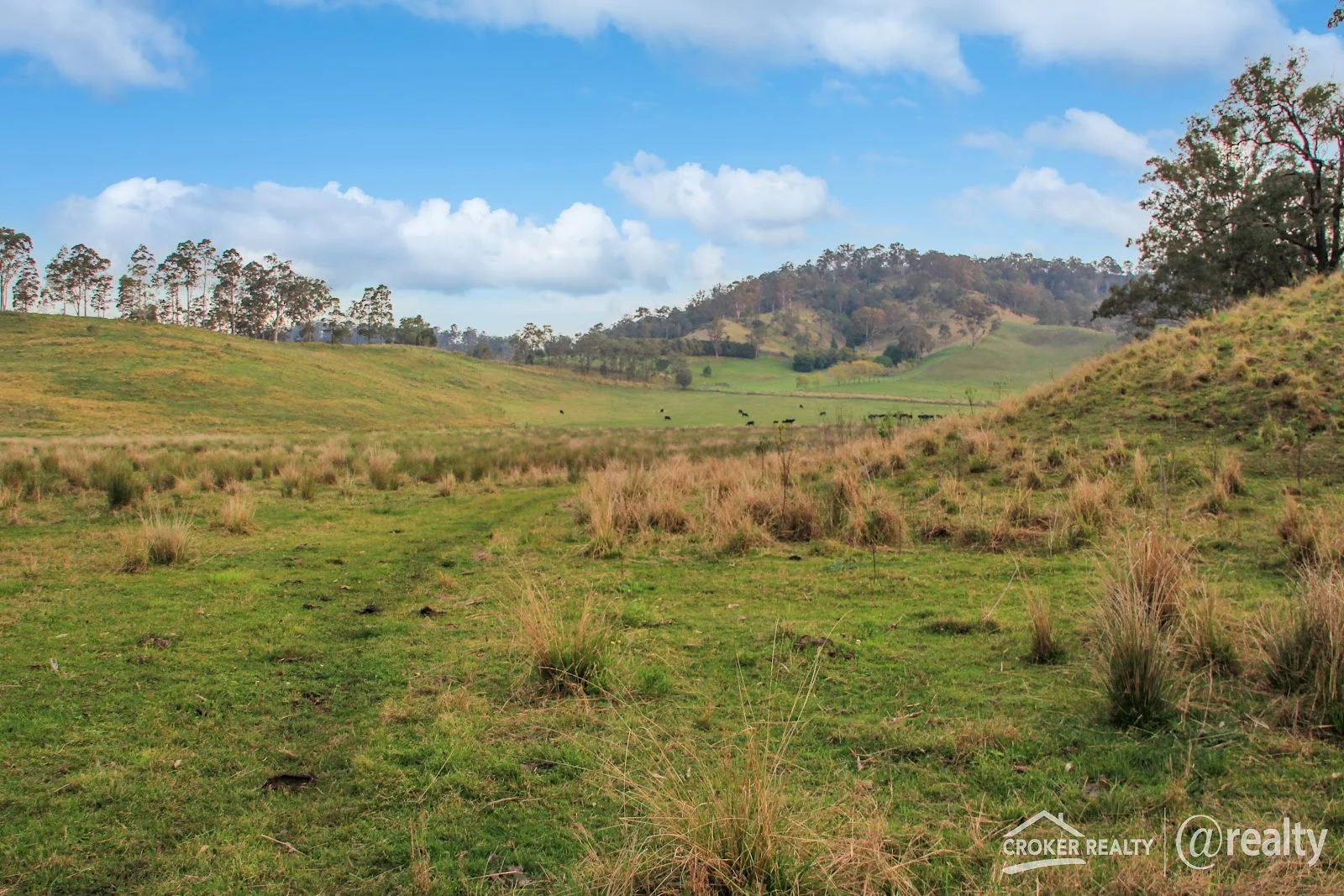 Additional image 13 of Lot 23 Hillyards Road, Boorabee Park NSW 2480