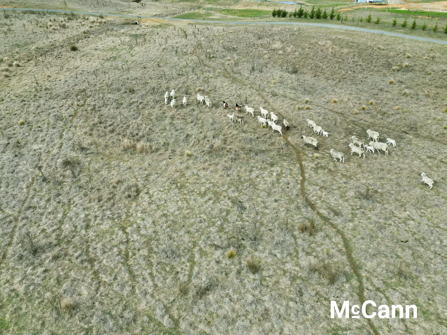 Additional image 7 of 145 Collector Road, Gunning NSW 2581