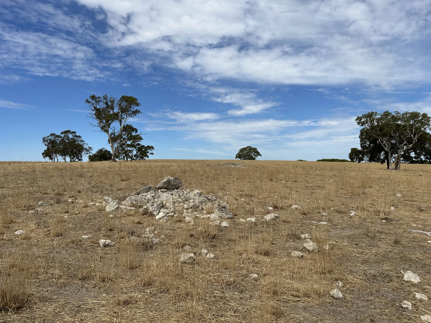 Additional image 5 of Lot 189 and 323 Roy Lawries Road, Lochaber SA 5271