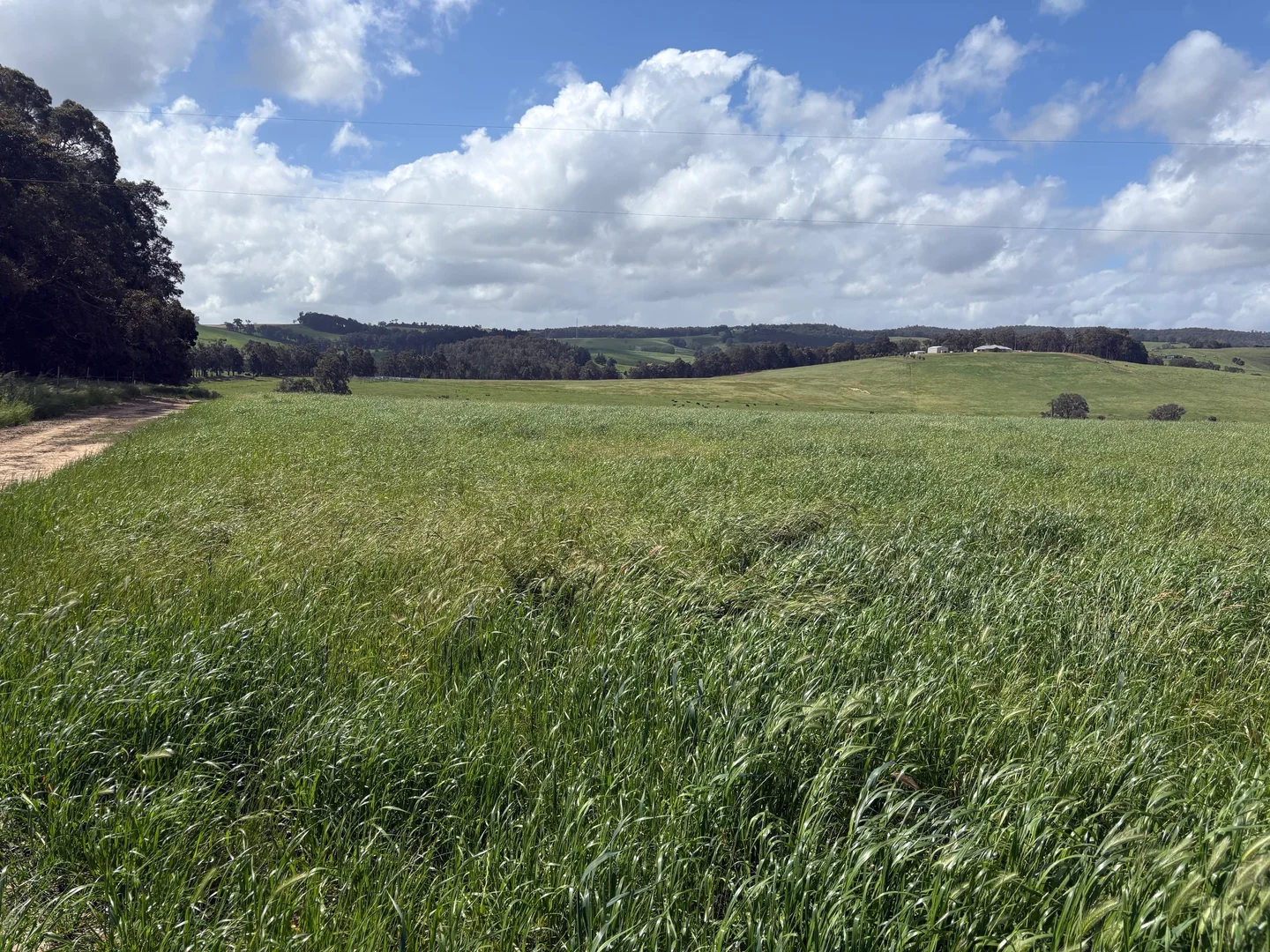 Additional image 19 of Lot 72 Beelerup Road, Beelerup WA 6239