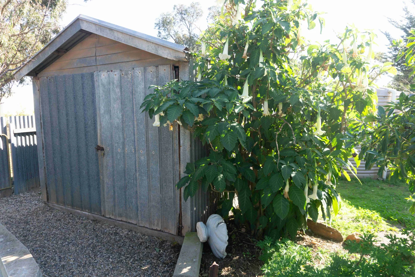 Additional image 35 of 6 Pearce Crescent, Cleve SA 5640