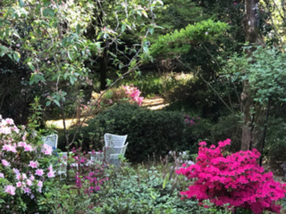 Additional image 25 of 4 Blaxland Avenue, Leura NSW 2780