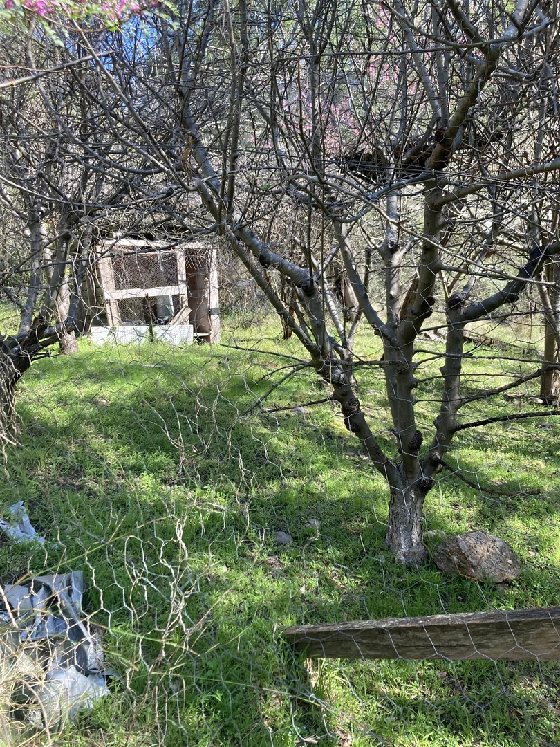 Additional image 8 of 138 Elliot Road, Valencia Creek VIC 3860