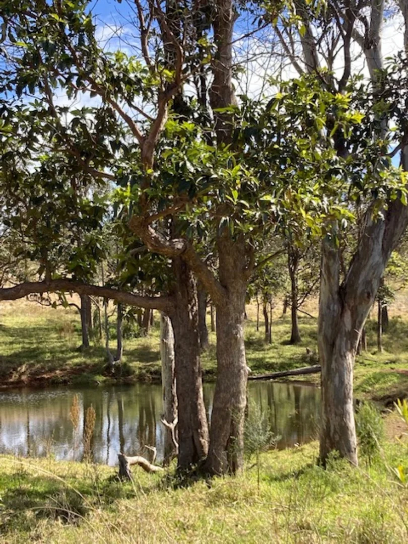 Additional image 30 of Lot 1 and Lot 5 Bald Hills Road, Plainby QLD 4355