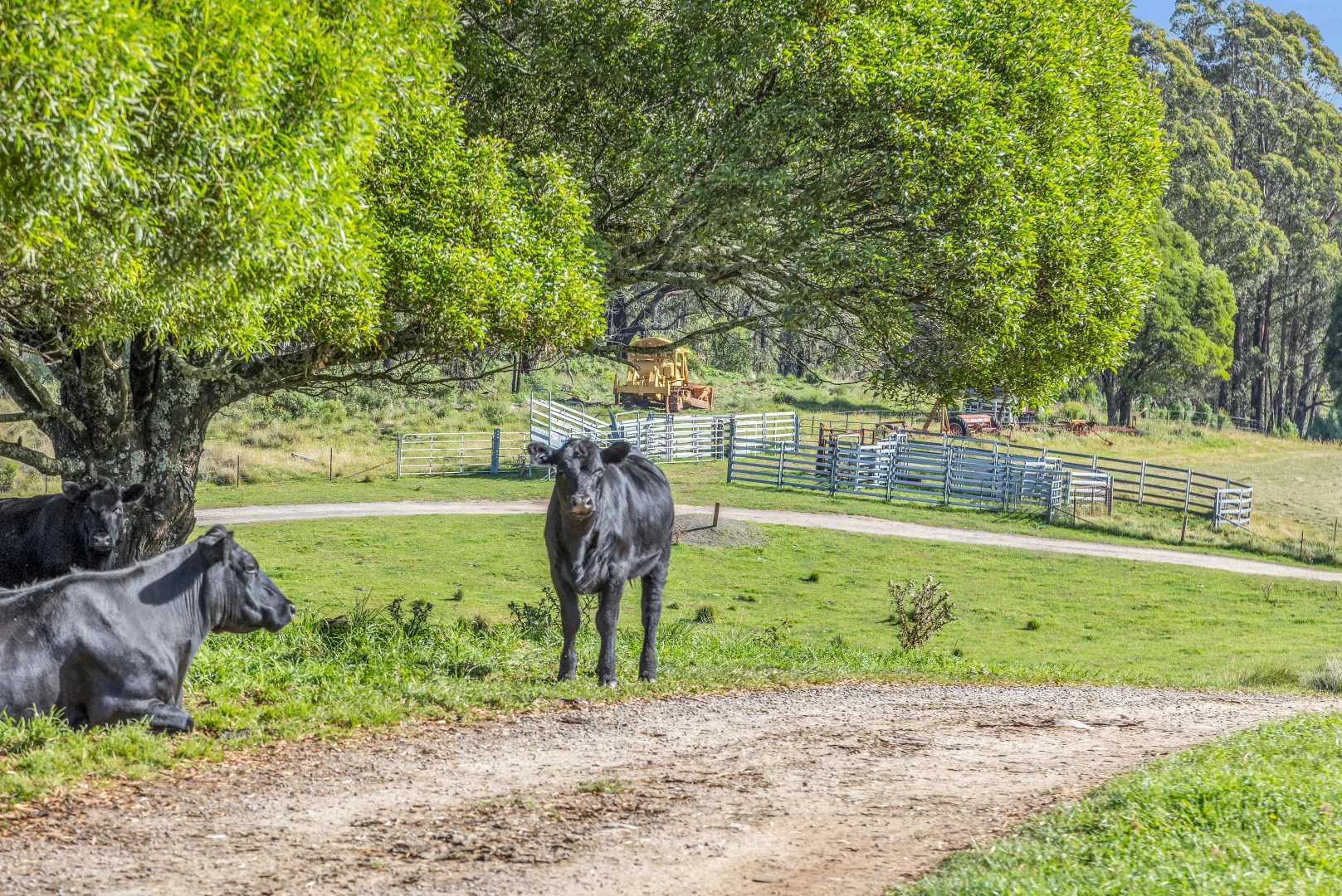 Additional image 23 of 4866 Mount Darragh Road, Mount Darragh NSW 2632