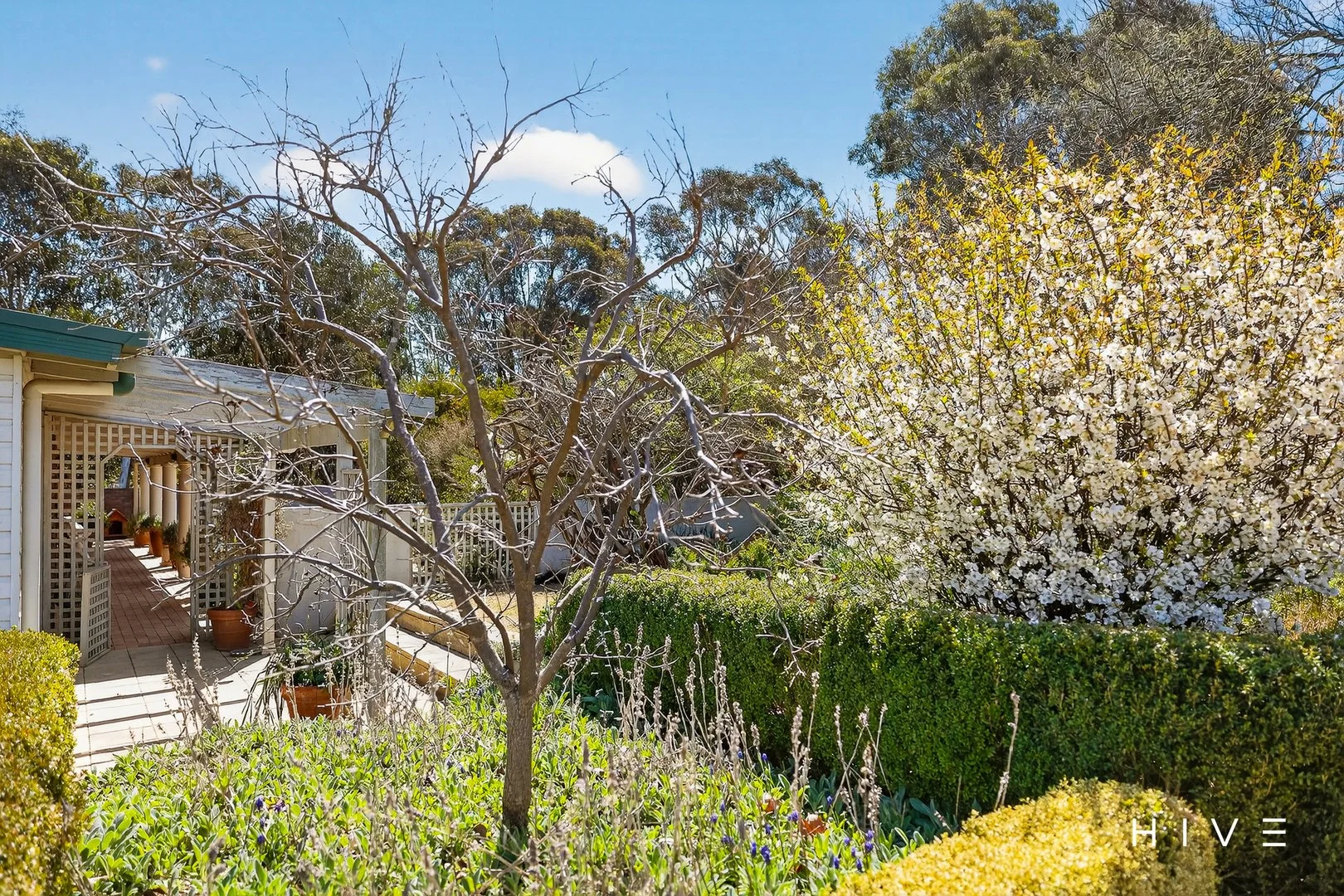 Additional image 22 of 31 David Street, Gundaroo NSW 2620