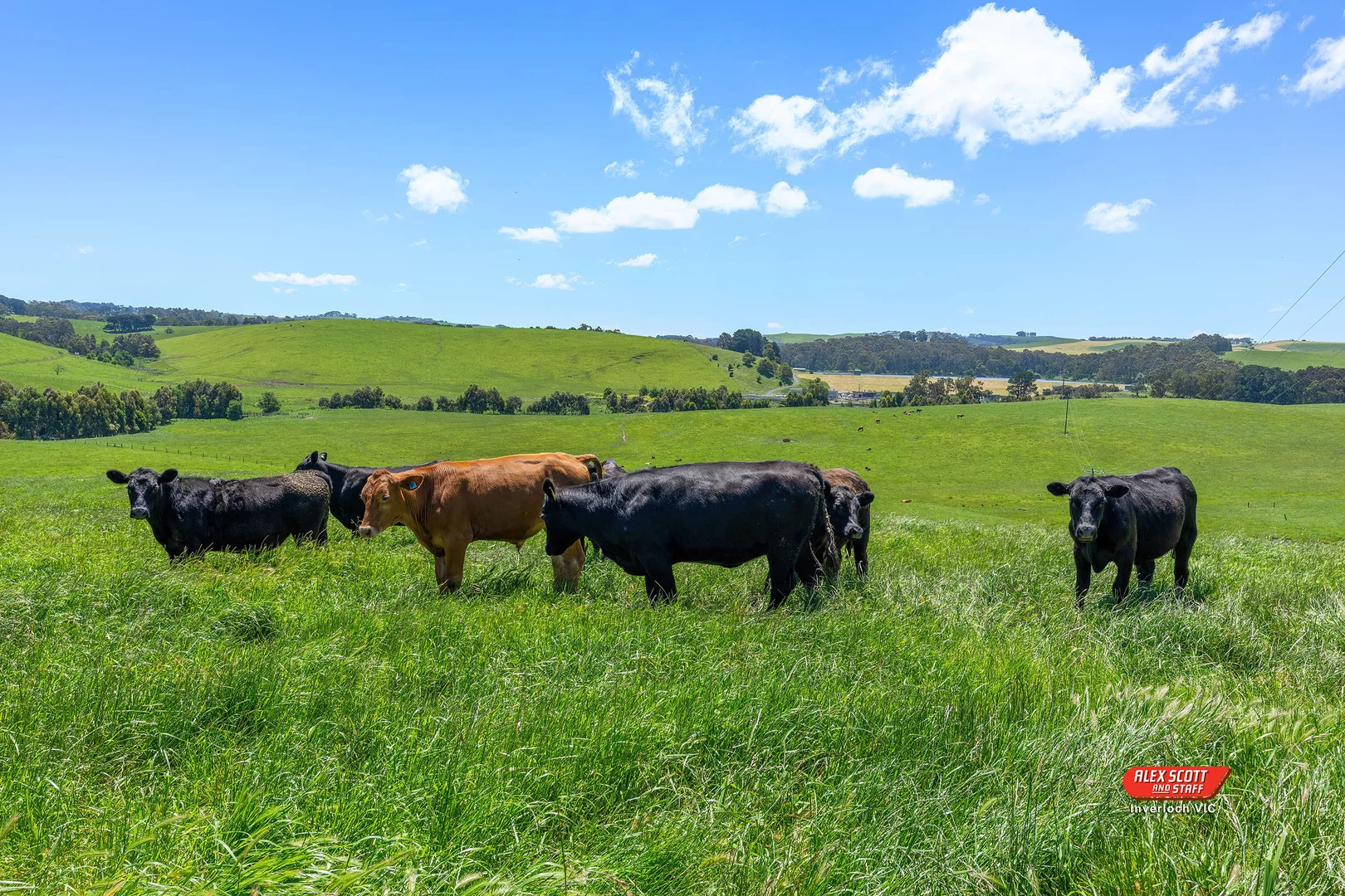 Additional image 8 of Lot 2 Kongwak Road, Glen Alvie VIC 3979