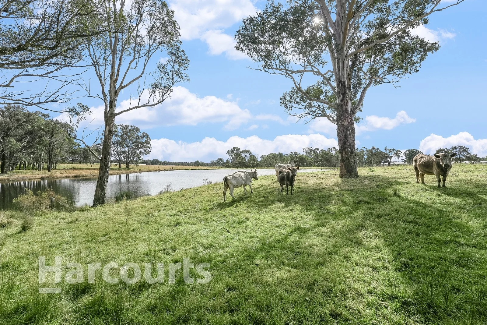 Additional image 5 of 55 Nightingale Road, Pheasants Nest NSW 2574
