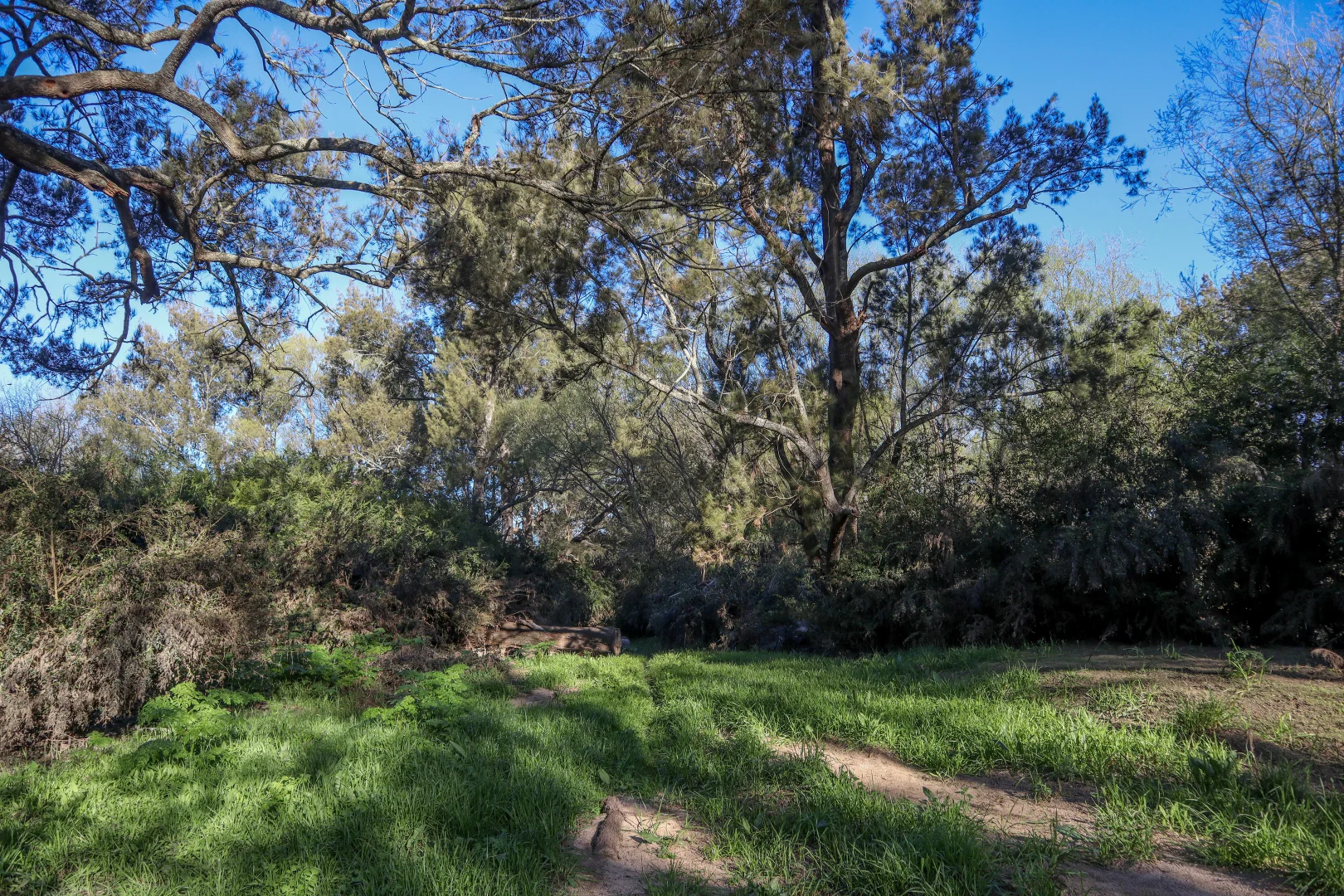 Additional image 18 of "Bonna"  1 Haidee Street, Bendemeer NSW 2355