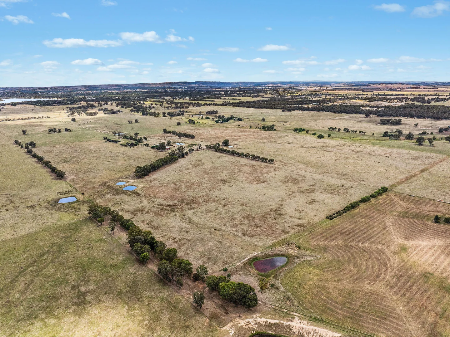 Additional image 19 of 301 Boiling Down Road, Rowan NSW 2650