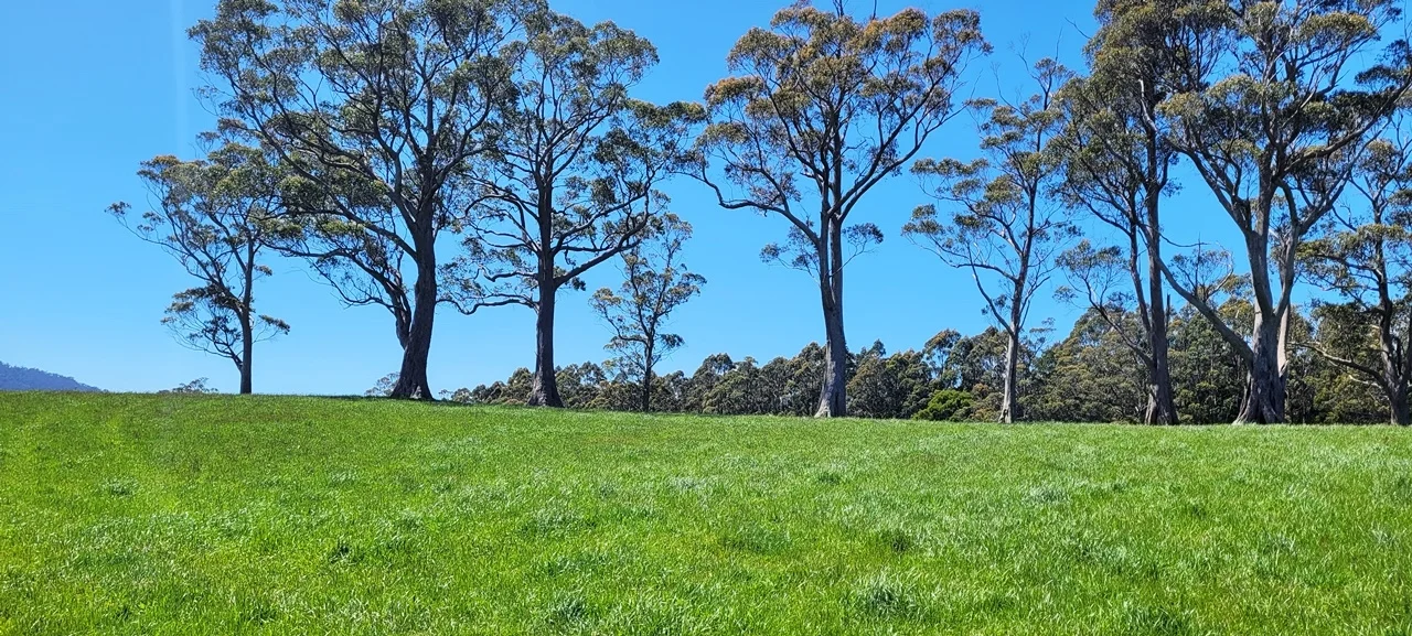 Additional image 34 of 174 Fabers Road, Riana TAS 7316