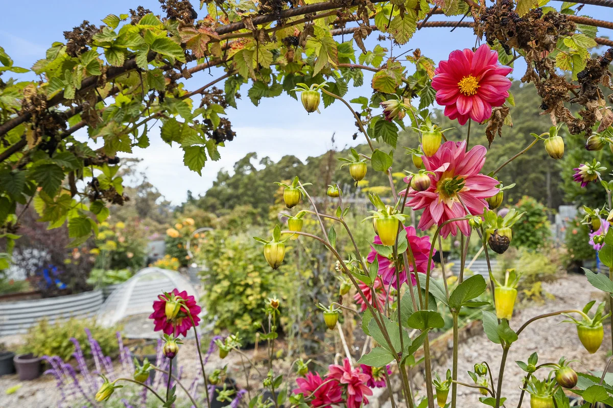 Additional image 25 of 303 Kregors Road, Gordon TAS 7150